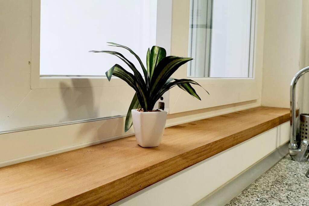 Apartamento Interior En El Absoluto Centro Ba 알헤시라스 외부 사진